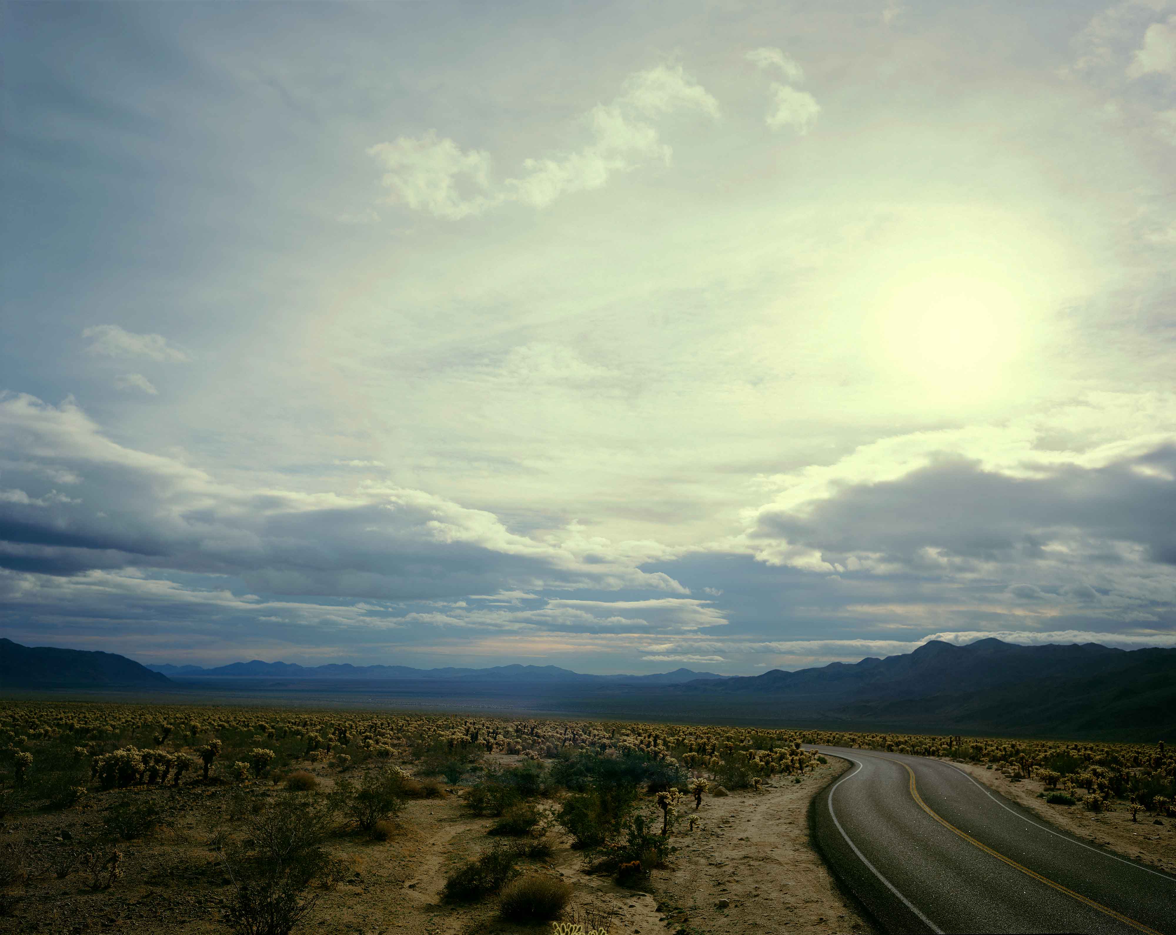 Joshua Tree 9