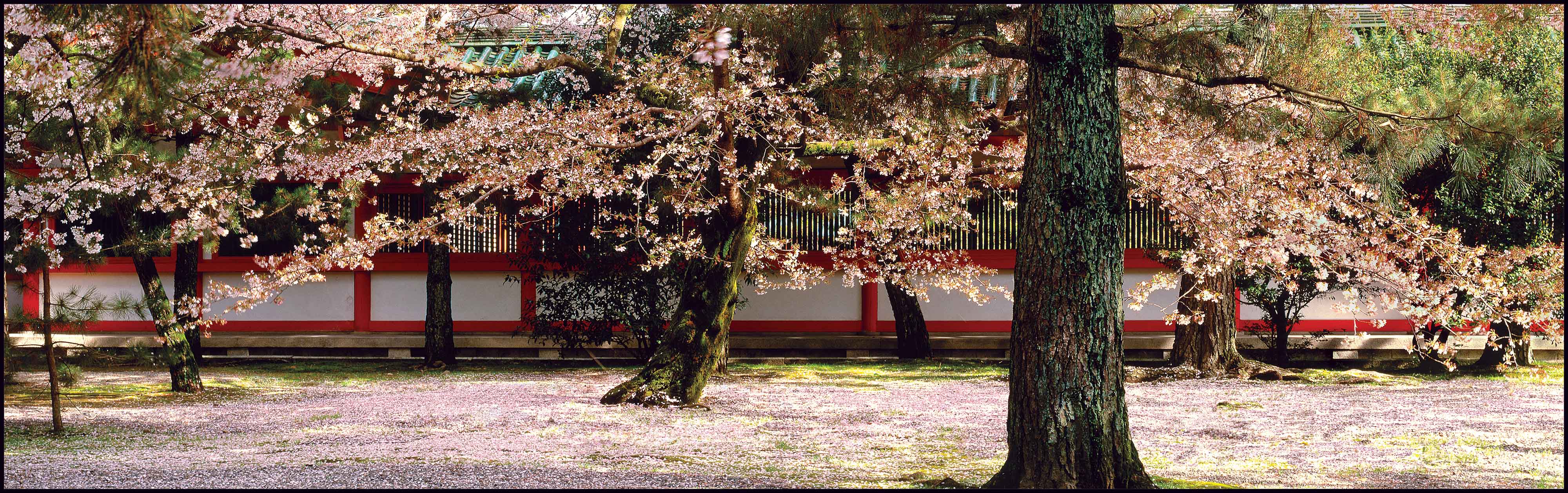 Outside Heian Shrine